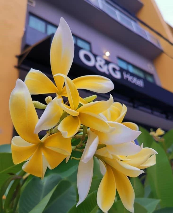 O&G Hotel Parit Buntar Bagian luar foto